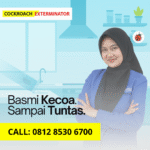Jasa Basmi Kecoa Terdekat