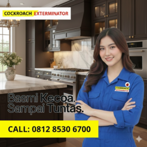 Jasa Pembasmi Kecoa di Batang Layanan Home Service 24 Jam