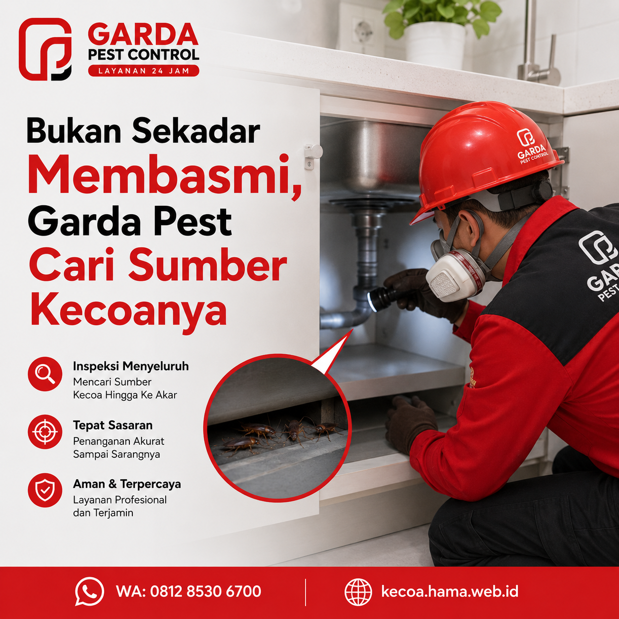 Jasa Pembasmi Kecoa Area Kost dan Apartemen Sleman